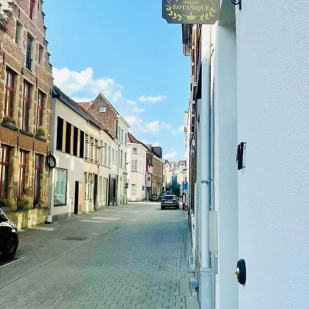 Maison Nelle Botanique - Moose Mountain Mechelen Buitenkant foto