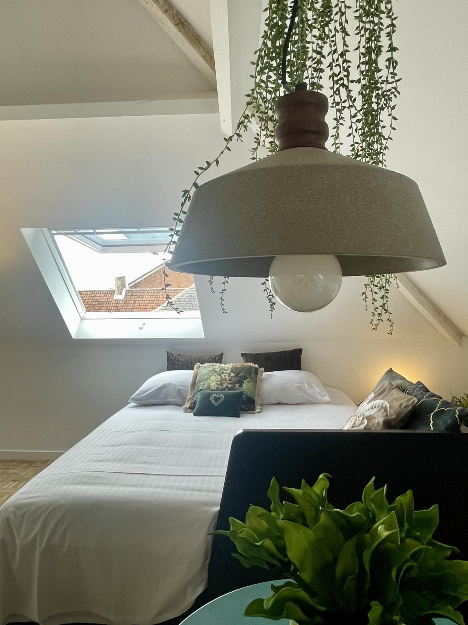 Maison Nelle Botanique - Moose Mountain Apartment