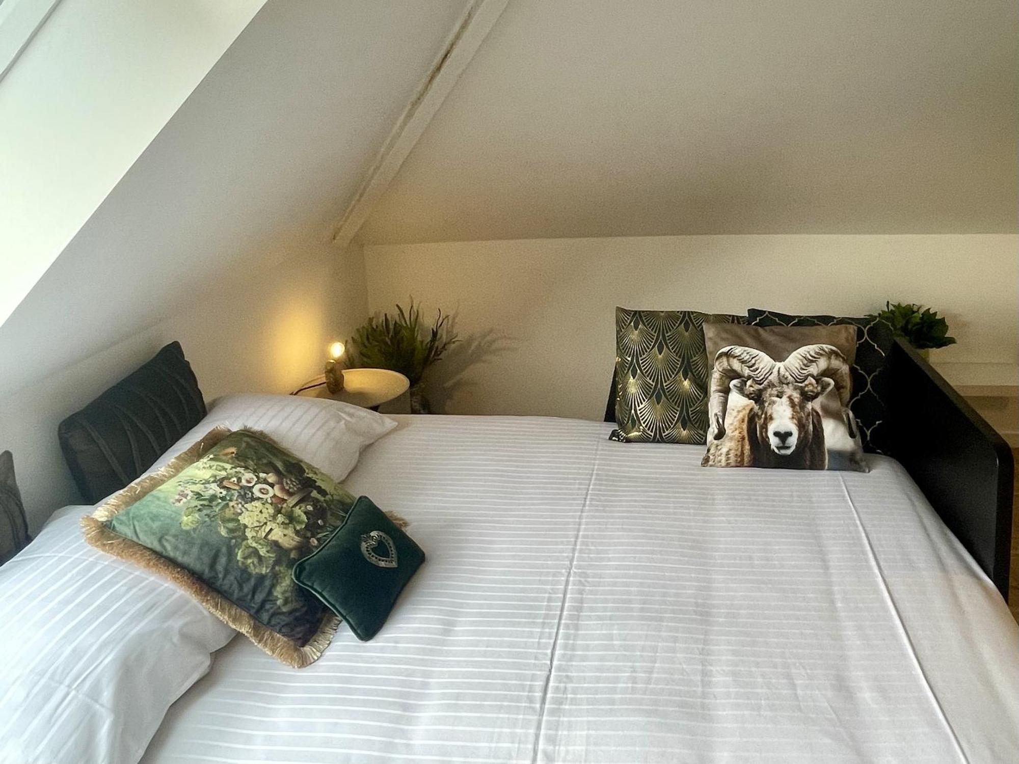 Maison Nelle Botanique - Moose Mountain Apartment *