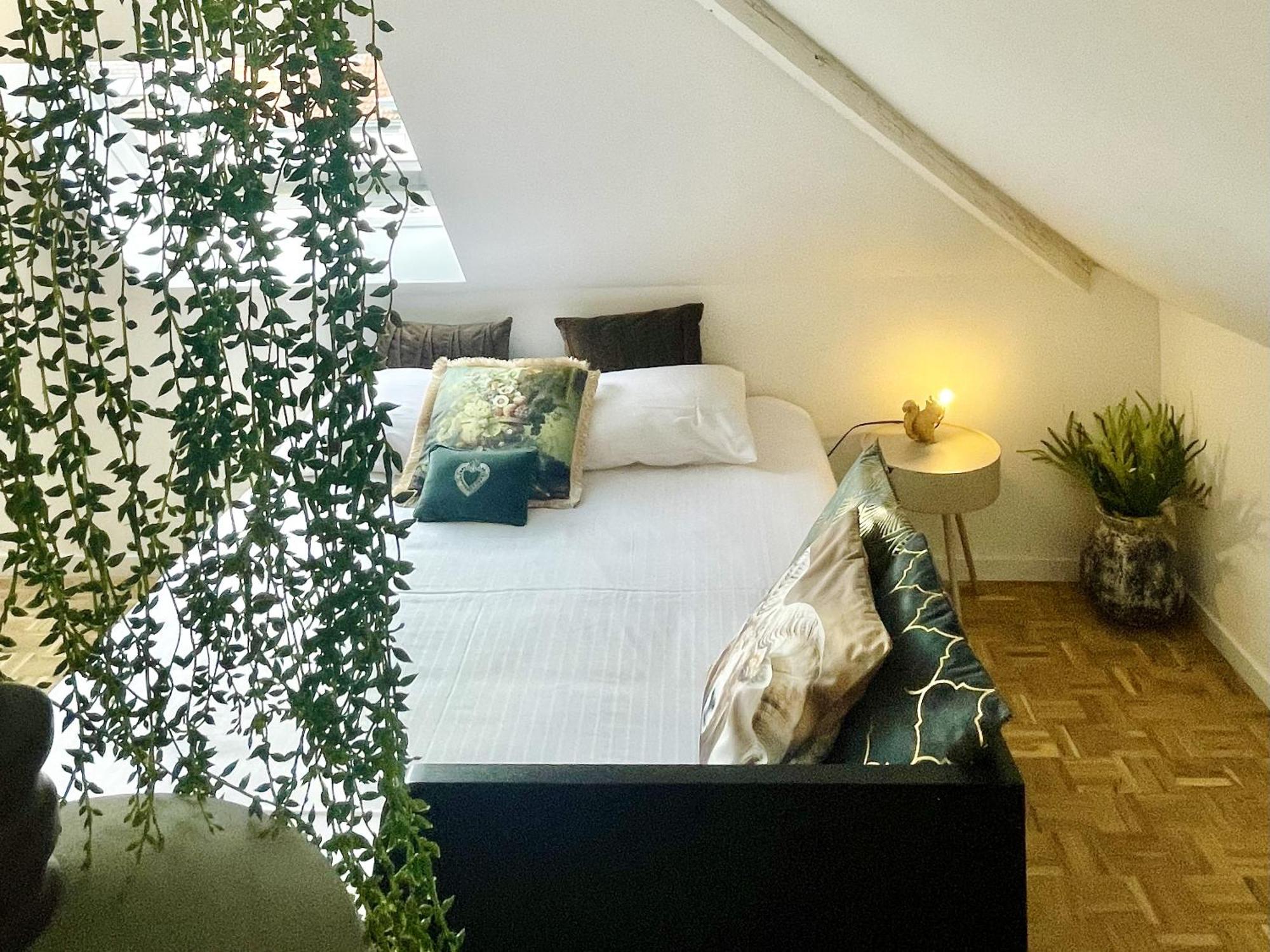 Maison Nelle Botanique - Moose Mountain Apartment Mechelen